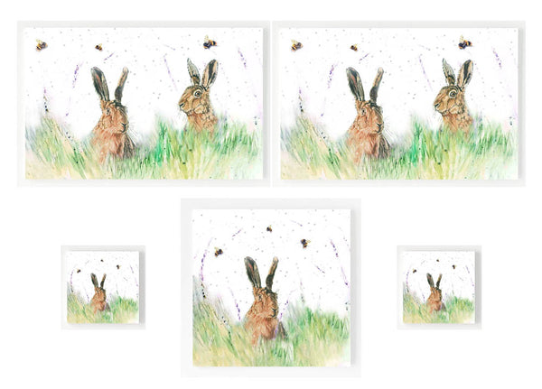 Gift Set - Hare 'n' Seek