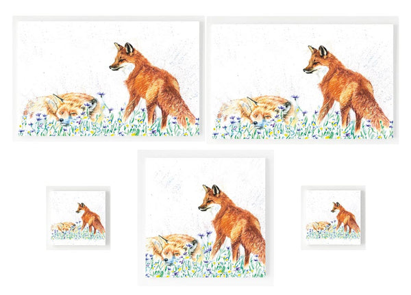 Gift Set - Let Sleeping Fox Lie