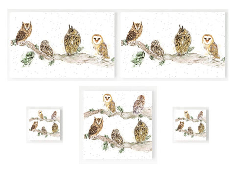 Gift Set - Owl Shapes 'n' Sizes