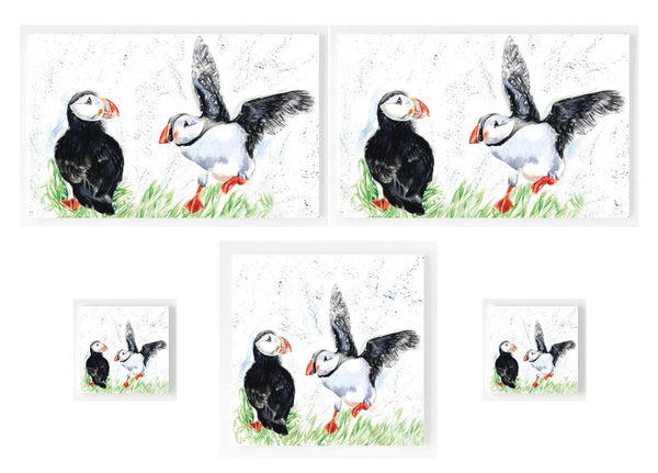 Gift Set - Puffin Landin'