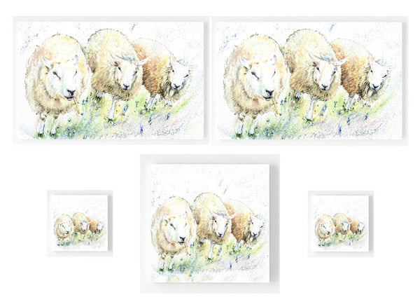 Gift Set - Woolly Institute