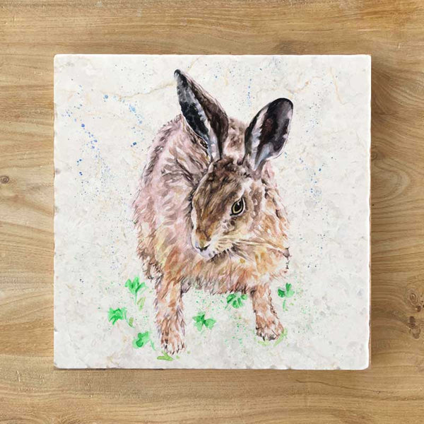Marble Coaster - I'm All Ears