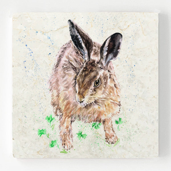 Marble Coaster - I'm All Ears