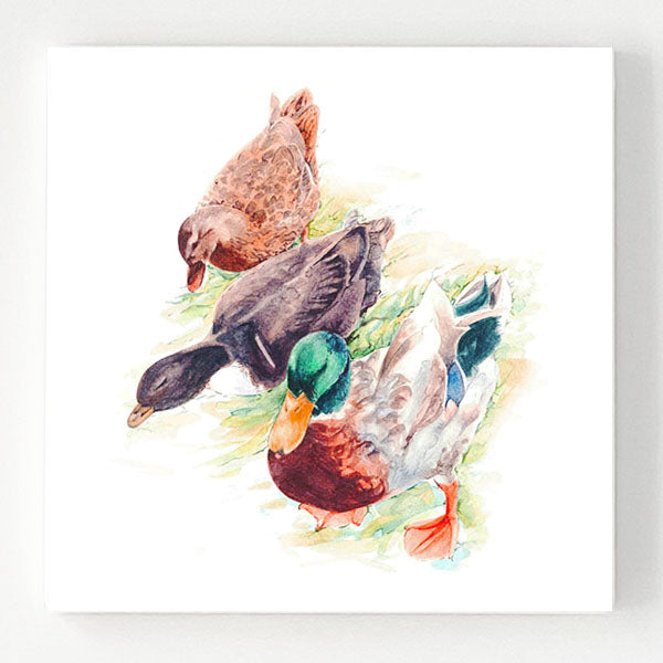 Ceramic Coaster - Mallards