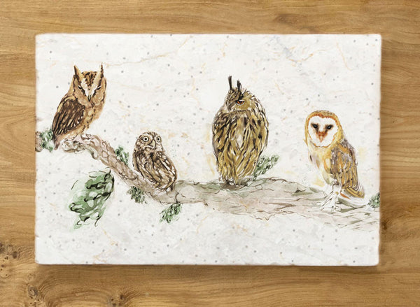 Small Sharing Board - Owl Shapes 'n' Sizes