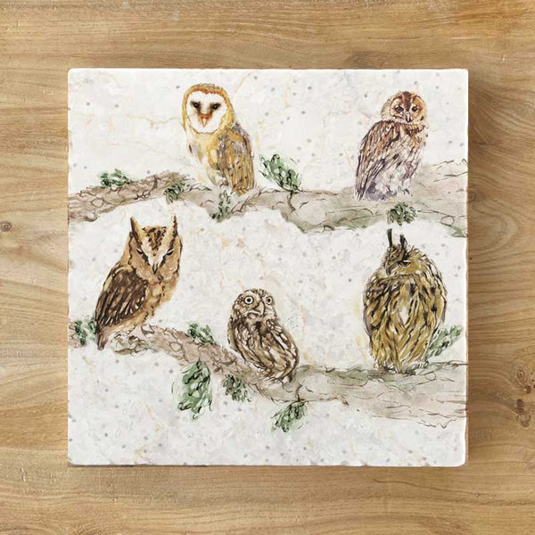 Marble Coaster - Owl Shapes 'n' Sizes