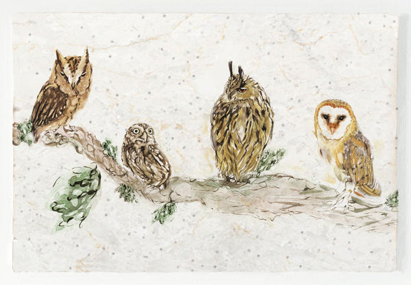 Small Sharing Board - Owl Shapes 'n' Sizes