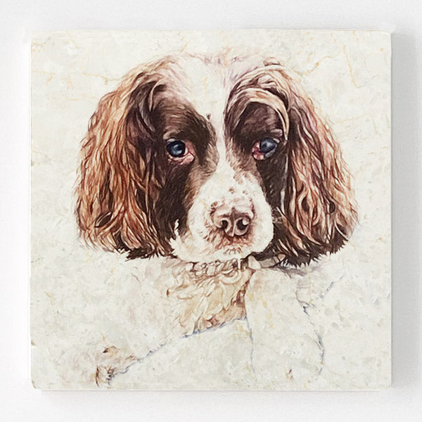 Marble Coaster - Springer Spaniel