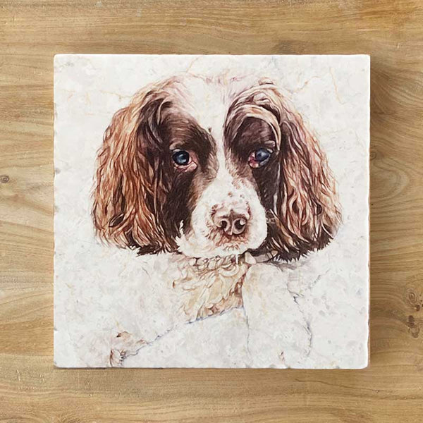 Marble Coaster - Springer Spaniel