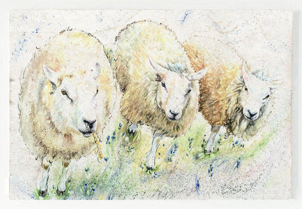 Small Sharing Board - The Woolly Institute