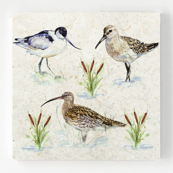 Marble Coaster - Water Dwellers