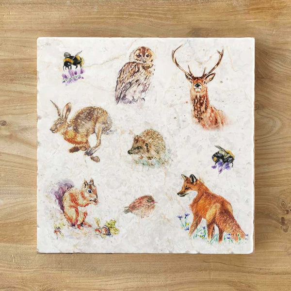 Marble Coaster - Wildlife
