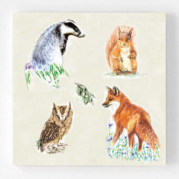 Ceramic Coaster - Woodland Residents