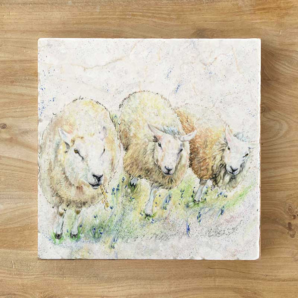 Marble Coaster - Woolly Institute