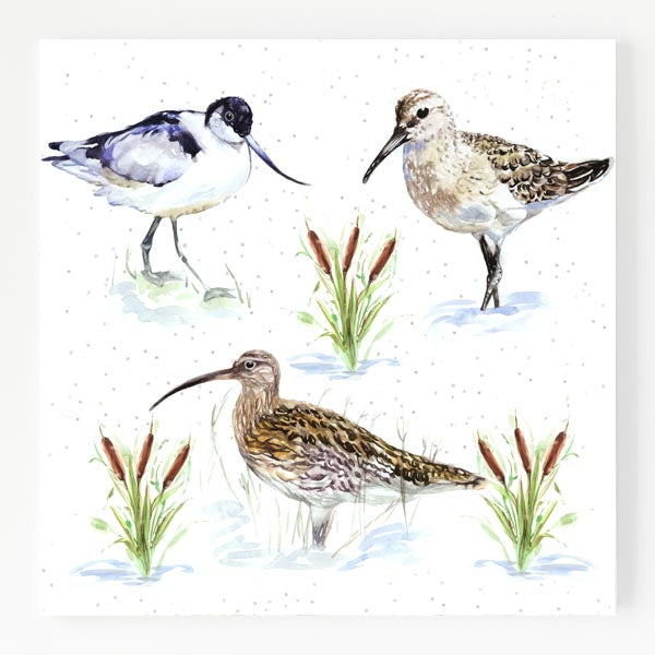 Ceramic Trivet - Water Dwellers