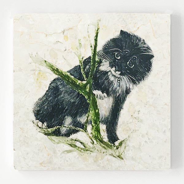 Marble Coaster - Black Cat