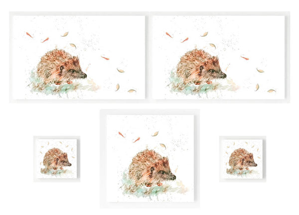 Gift Set - Little Hedgehog