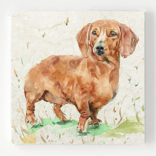 Marble Coaster - Daschund Eddie