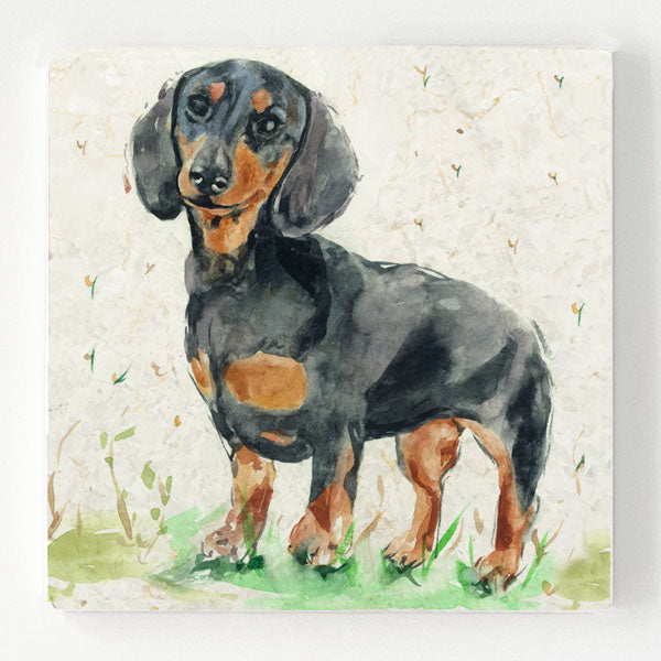 Marble Coaster - Daschund Phoebe