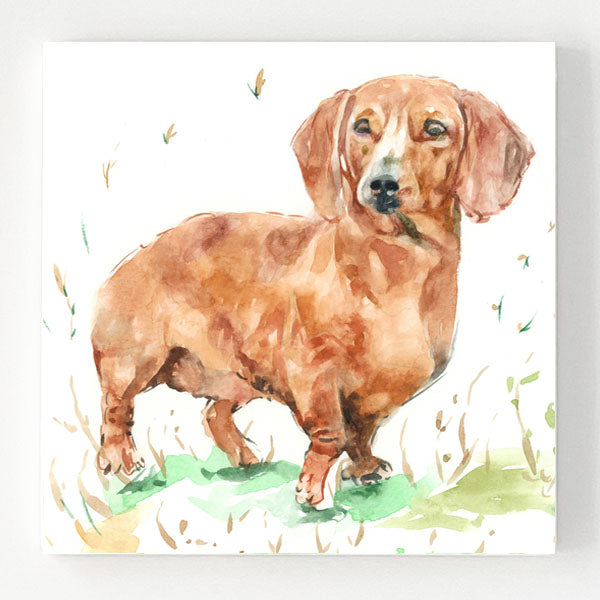 Ceramic Coaster - Daschunds - Eddie