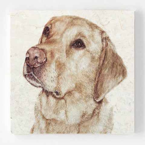 Marble Coaster - Golden Labrador