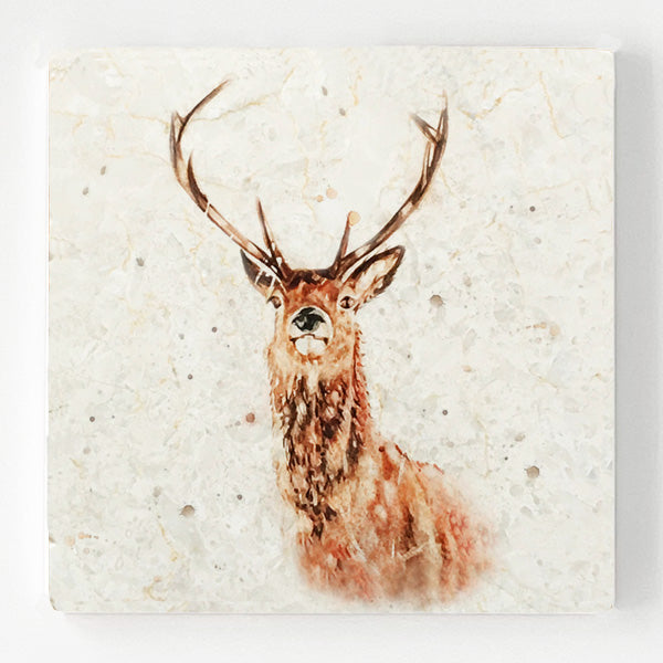 Marble Coaster - His Majesty