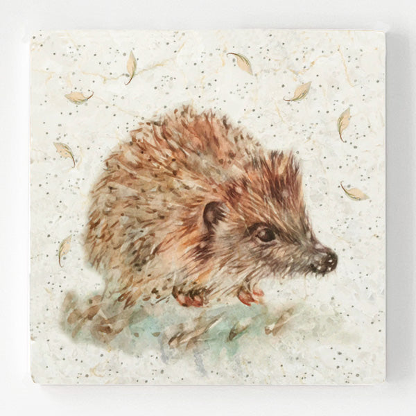 Marble Coaster - Little Hedgehog