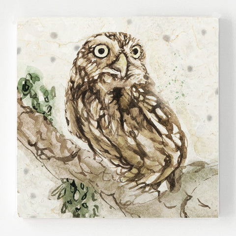 Marble Coaster - Little Owl