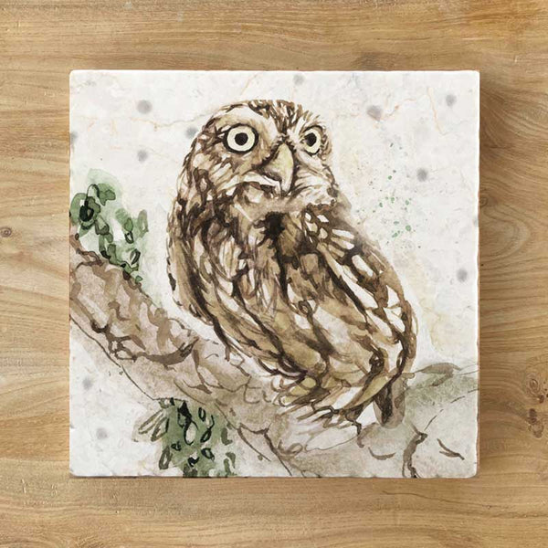 Marble Coaster - Little Owl