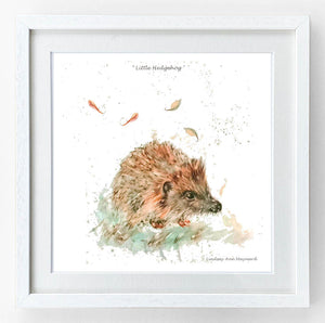 Fine Art Print - Little Hedgehog