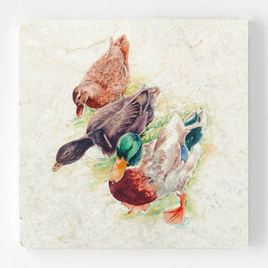 Marble Coaster - Mallards