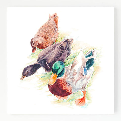 Ceramic Trivet - Mallards