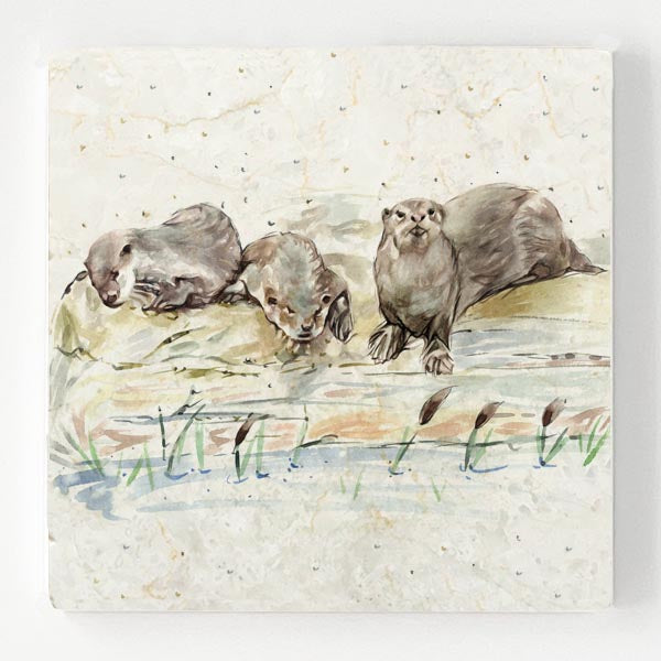 Marble Coaster - Otter Lodge