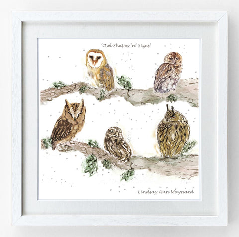 Fine Art Print - Owl Shapes 'n' Sizes