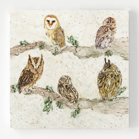 Marble Coaster - Owl Shapes 'n' Sizes