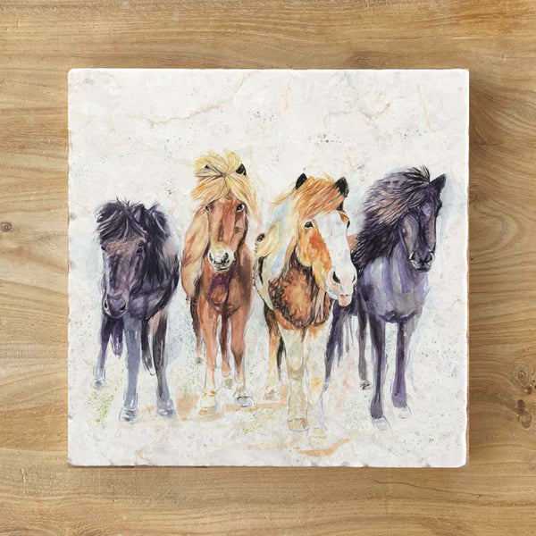 Marble Coaster - The Pony Club