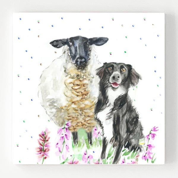 Ceramic Coaster - Suffolk Collie