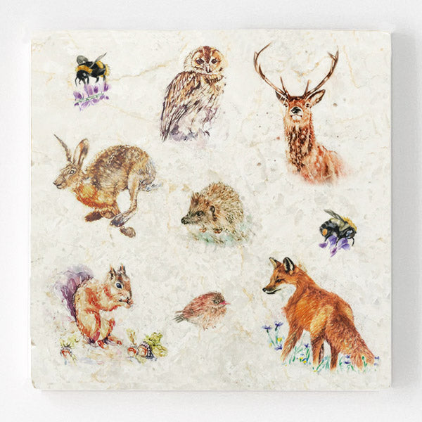 Marble Coaster - Wildlife