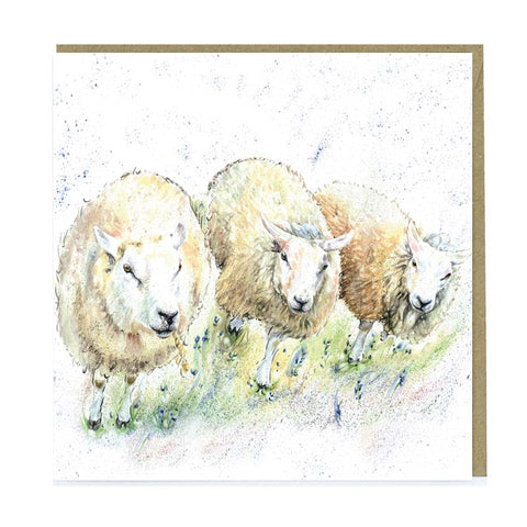 Greetings Card - Woolly Institute