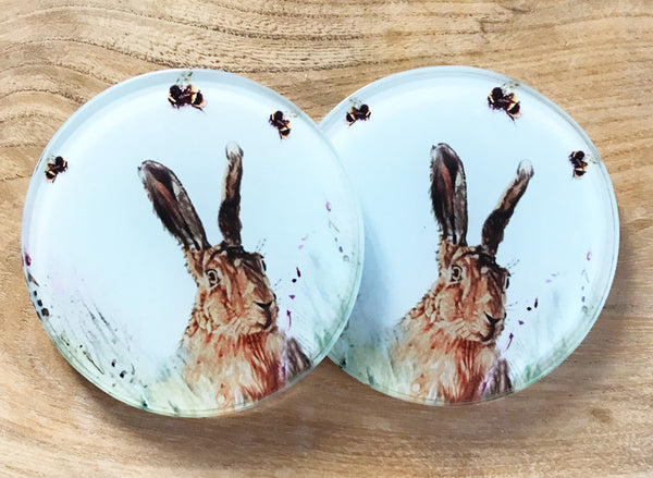Glass Coaster - Hare 'n' Seek