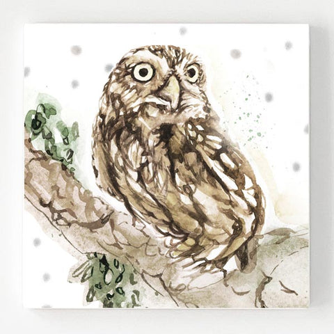 Ceramic Coaster - Little Owl