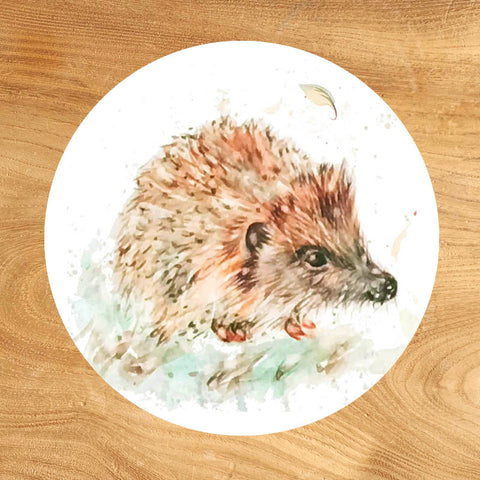Glass Coaster - Little Hedgehog