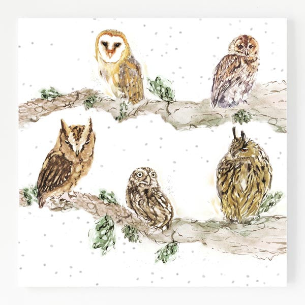 Ceramic Trivet - Owl Shapes 'n' Sizes