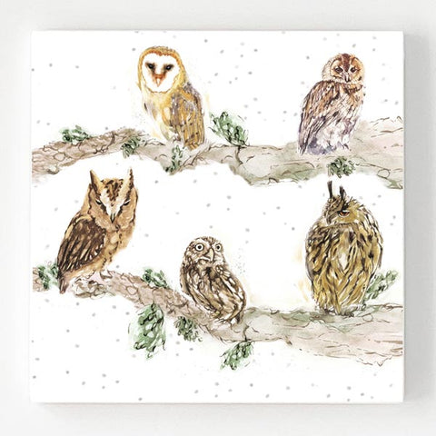 Ceramic Coaster - Owl Shapes 'n' Sizes