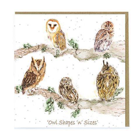 Greetings Card - Owl Shapes 'n' Sizes