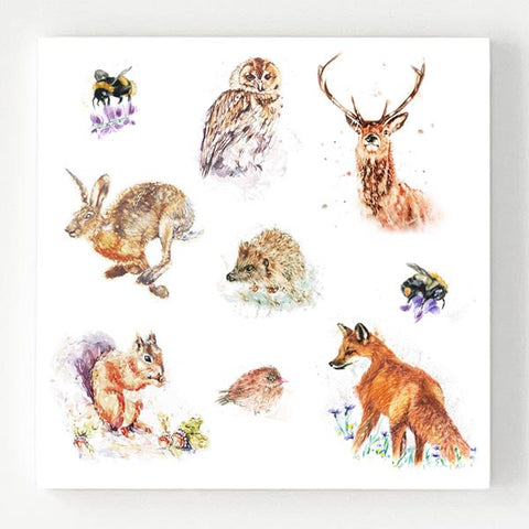 Ceramic Coaster - Wildlife
